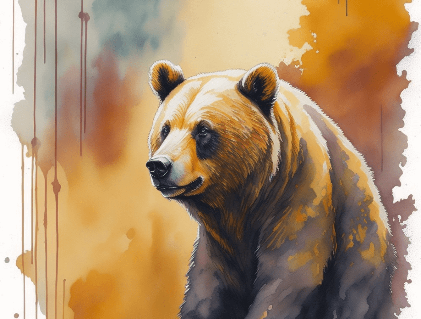 watercolor bear