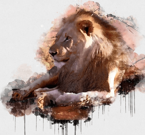 How to Paint a Lion with Watercolor