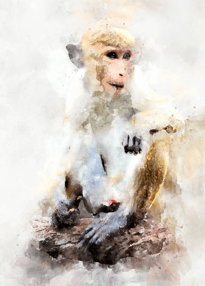 How to Paint a Monkey with Watercolor
