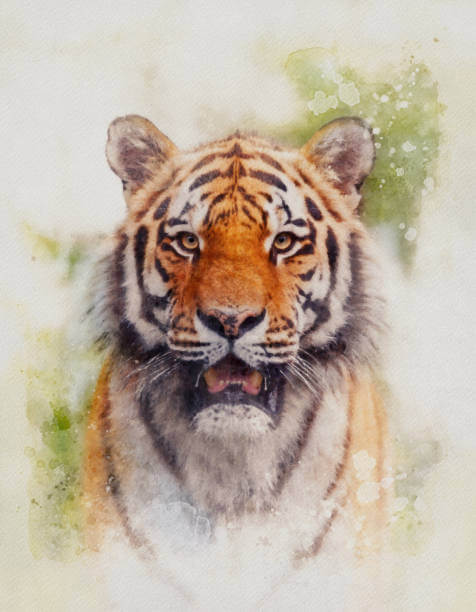 How to Paint a Tiger with Watercolor